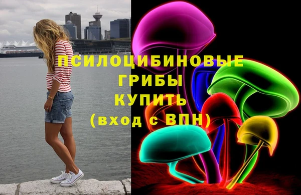 ГАЛЛЮЦИНОГЕННЫЕ ГРИБЫ Арсеньев
