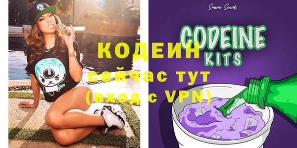 ГАЛЛЮЦИНОГЕННЫЕ ГРИБЫ Арсеньев
