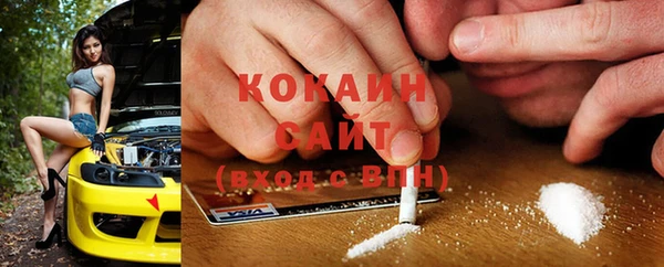 ГАЛЛЮЦИНОГЕННЫЕ ГРИБЫ Арсеньев