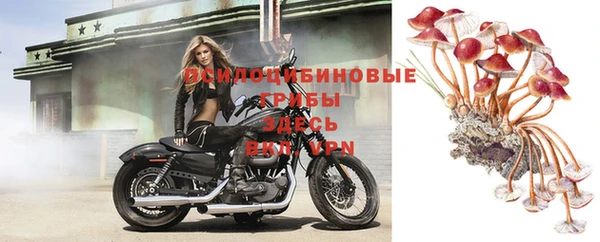 apvp Алексеевка